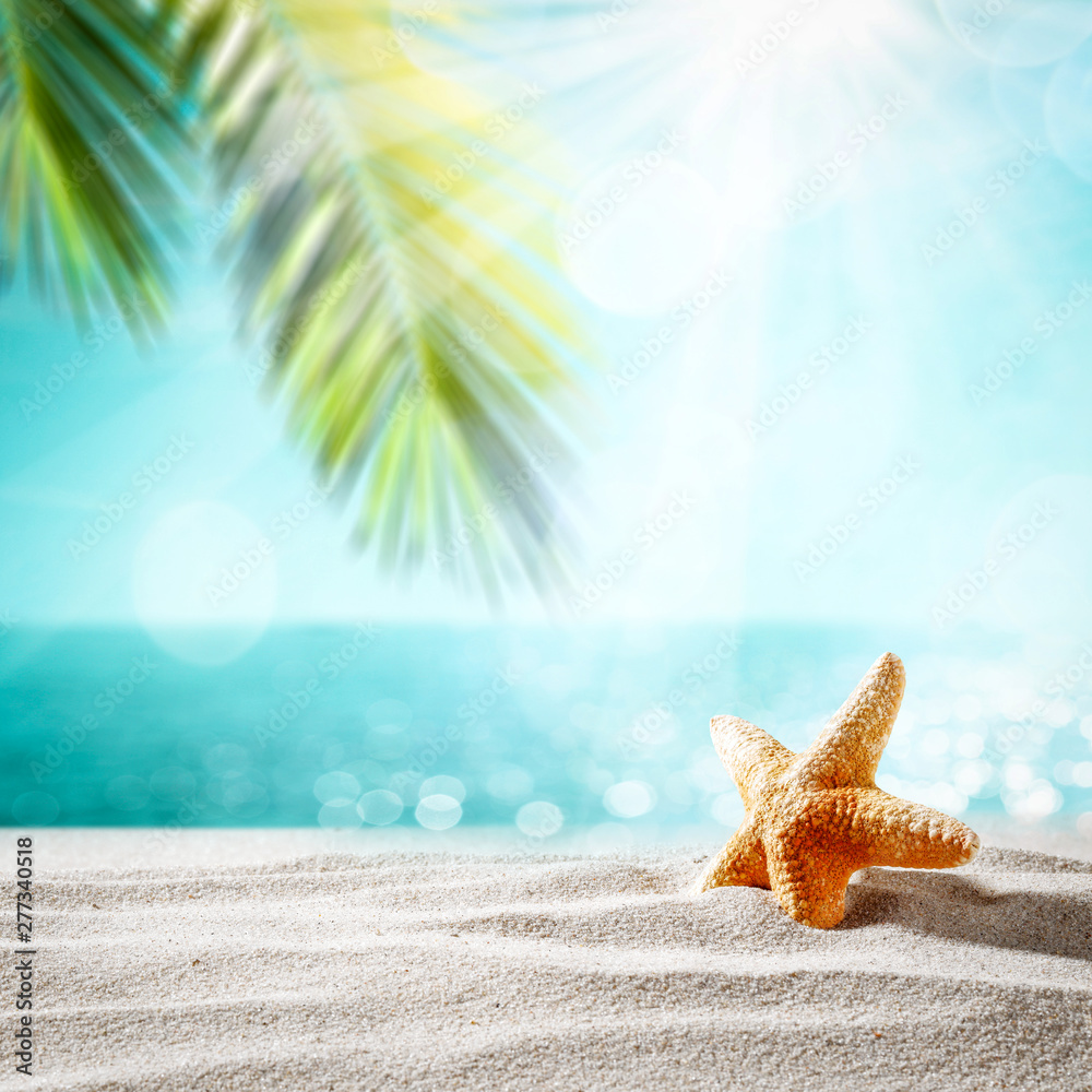 Summer shell on beach and sea landscape with palm and sun.  - obrazy, fototapety, plakaty 