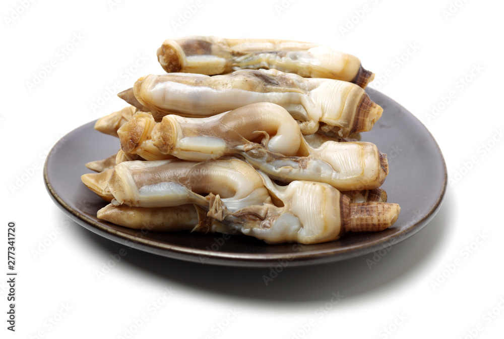 Razor clams isolated on white background. Razor clams isolated on white background.
