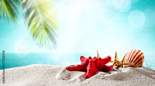 Fototapeta Naklejka Na Ścianę i Meble -  Summer shell on beach and sea landscape with palm and sun. 