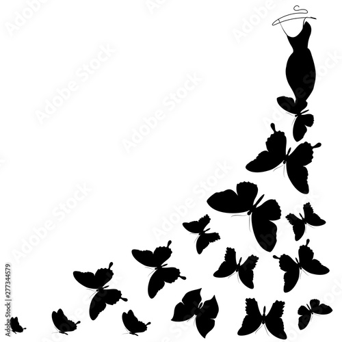 butterfly130