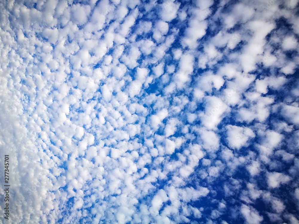 A pattern of Altocumulus clouds with blue sky. A pattern of Altocumulus clouds with blue sky.