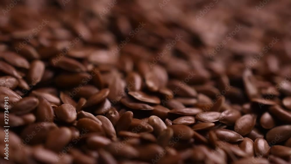 flax seed macro closeup