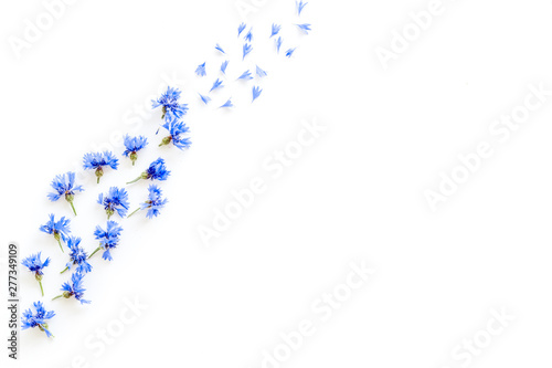 Fototapeta Naklejka Na Ścianę i Meble -  Field flowers design with blue cornflowers on white background top view mockup