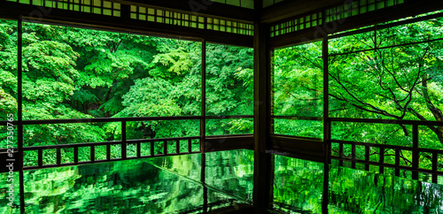 Obraz na płótnie 京都 瑠璃光院の青もみじ ワイド w salonie