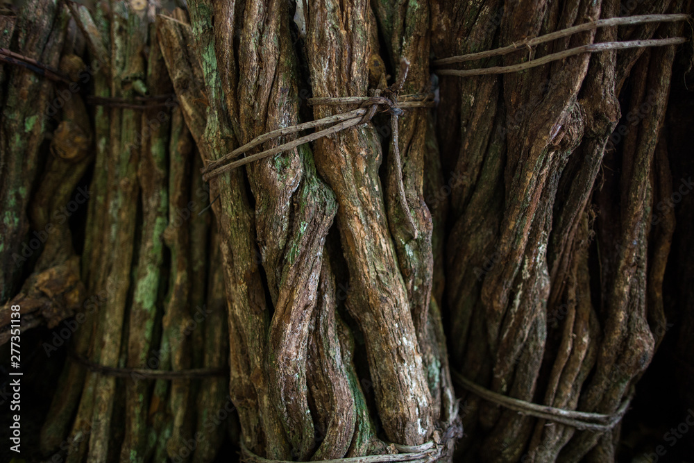 close up chopped stalks of ayahuasca creeper bound and ready to cook. Herbal medicine. woody vine. liana of the soul close up chopped stalks of ayahuasca creeper bound and ready to cook. Herbal medicine. woody vine. liana of the soul