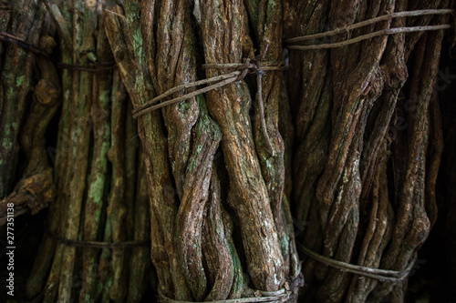 zbliżenie posiekanych łodyg pnącza ayahuasca, związanych i gotowych do gotowania Ziołolecznictwo, drzewna winorośl liana duszy