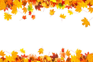 autumn leaves background