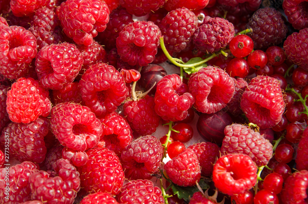raspberry background raspberry background