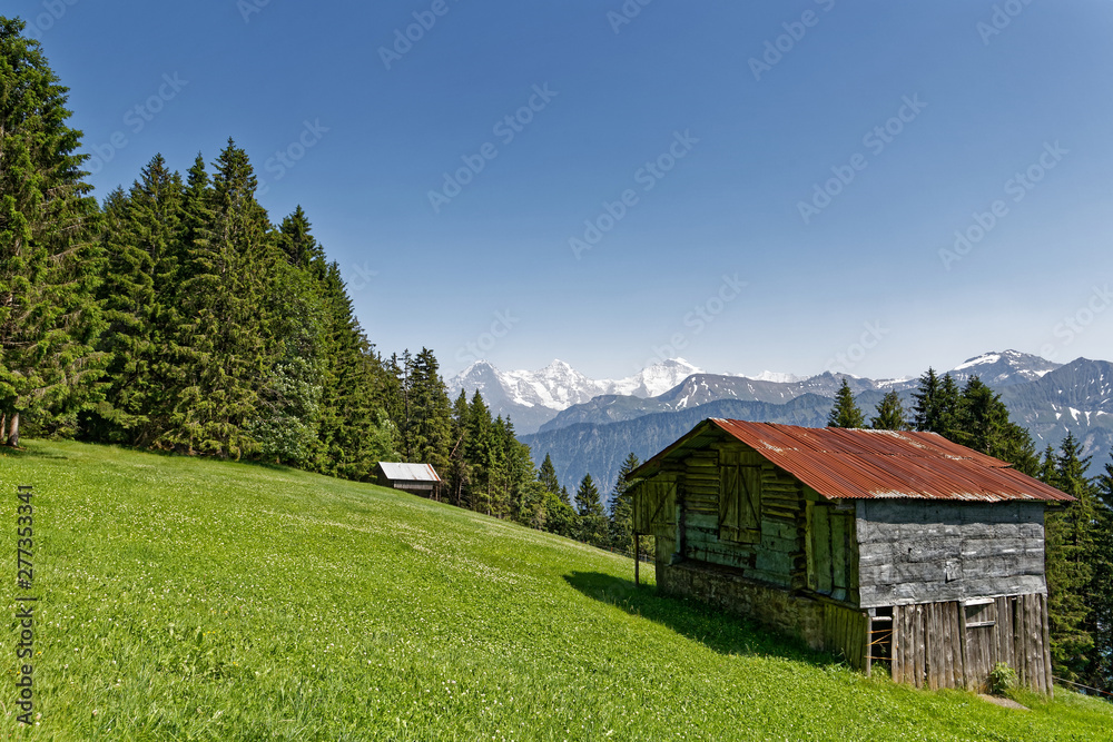 Dans les Alpes Suisses