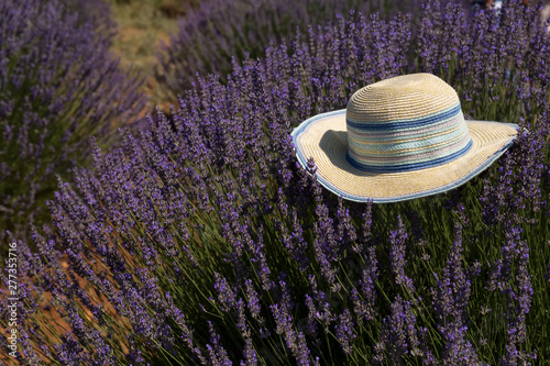 the wicker hat in the lavender field for photo concept.