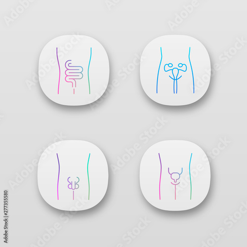 Healthy human organs app icons set. Intestines and urinary bladder. Functioning women reproductive systems. Fertility. UI/UX user interface. Web or mobile applications. Vector isolated illustrations