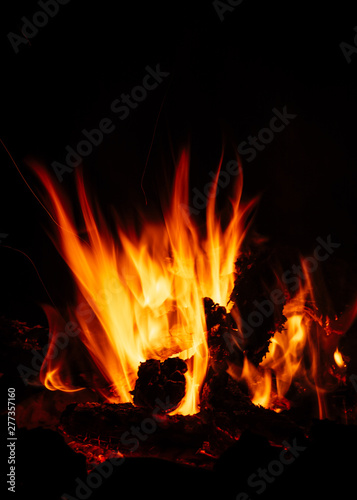Camp fire in the night  bright flames  black background 