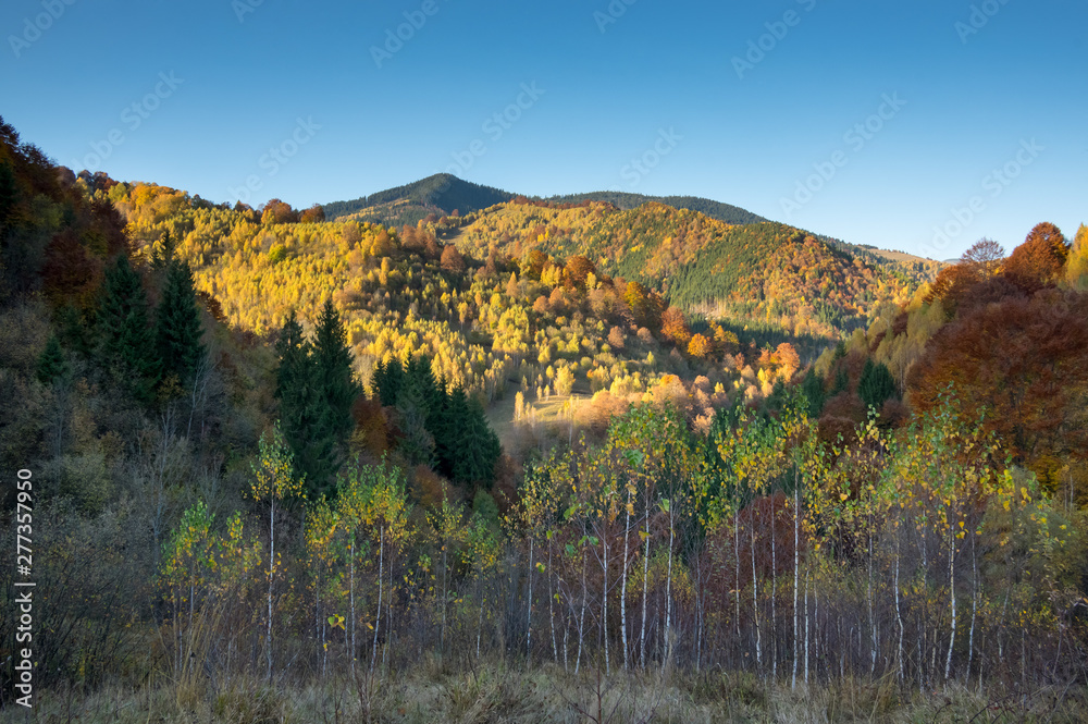 Autumn Colors - Landscape  - Outdoor - Rural Scene.