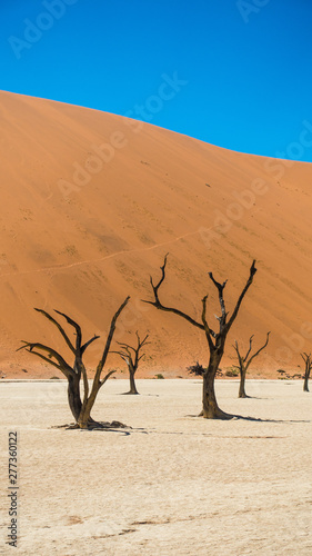 Sossusvlei Namibia photo