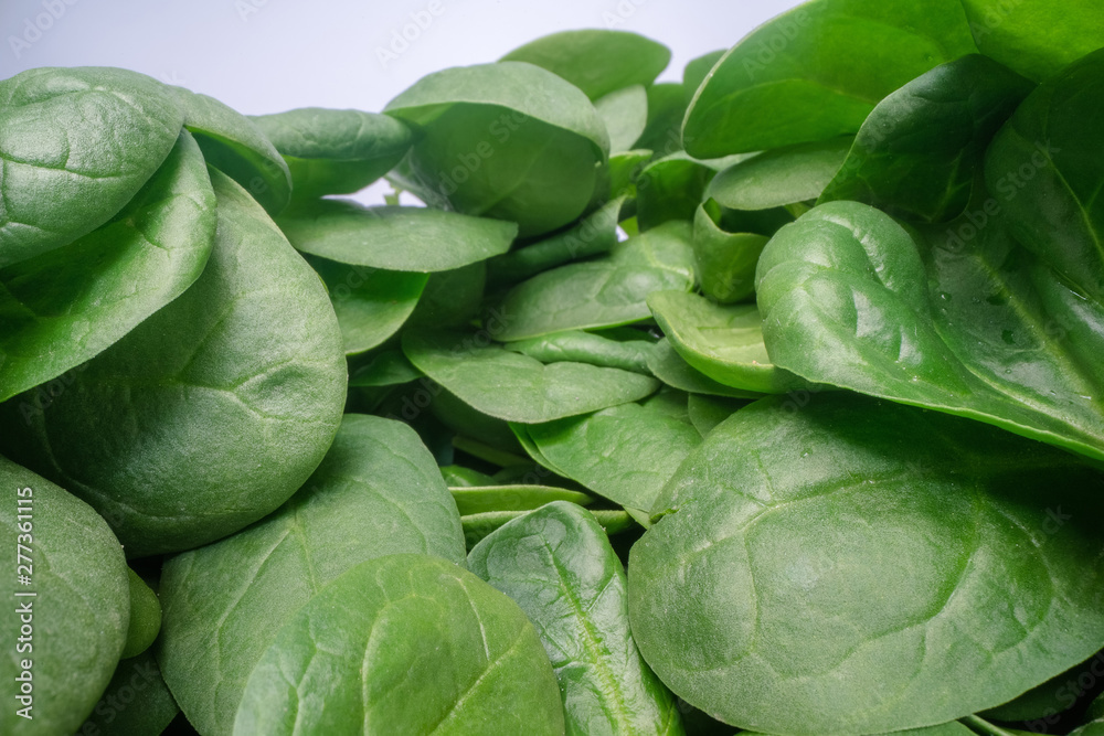 Macro shot of green spinach leafs. Bunch of spinach vegetable leafs stacked on top of each other. Urban farming, healthy eating lifestyle Macro shot of green spinach leafs. Bunch of spinach vegetable leafs stacked on top of each other. Urban farming, healthy eating lifestyle