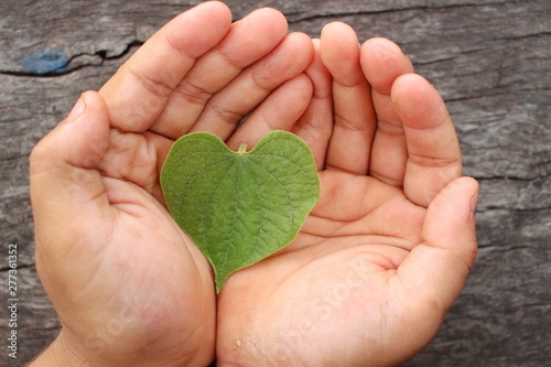 Heart-shaped green leaves placed on the boy's hand on the gray board floor