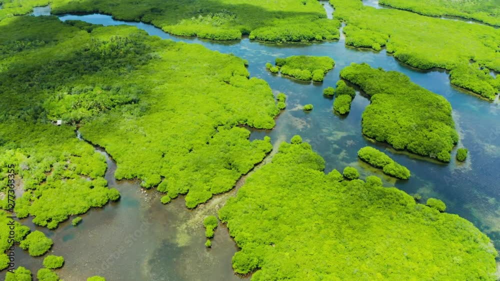 Tropical landscape with mangrove forest in wetland from above on Siargao island, Philippines. Tropical landscape with mangrove forest in wetland from above on Siargao island, Philippines.