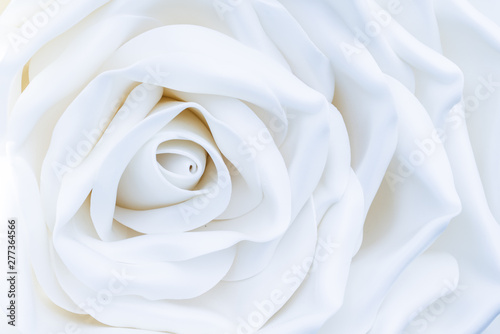 One huge  large white decorative rose