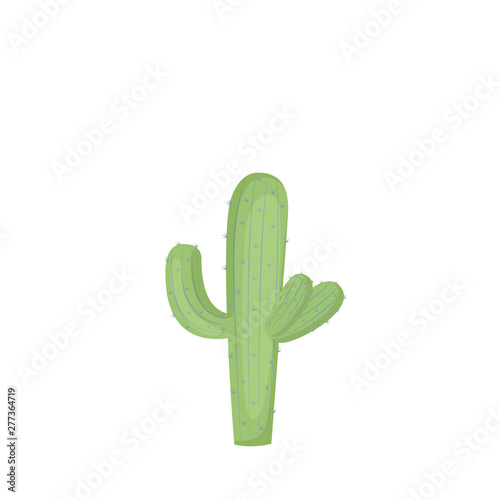 cactus plants. cacti vector illustration isolated on white background