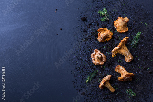 Chanterelle mushrooms on moody dark blue background