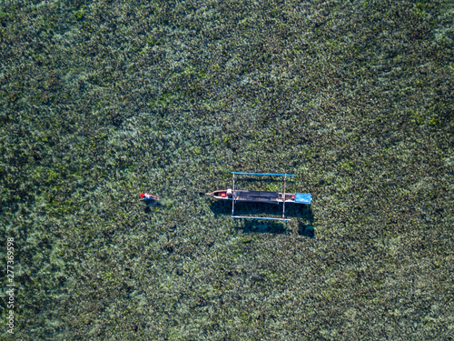 Aerial view of surfer and boat