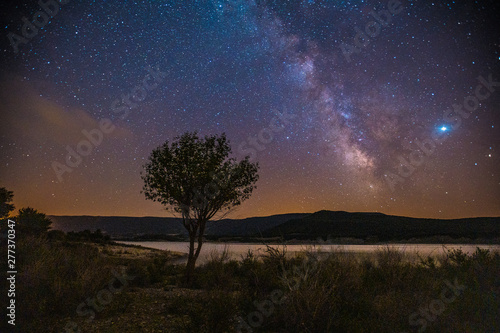 Via lactea in the swamp of Yesa and a beautiful tree. Night of July 2019