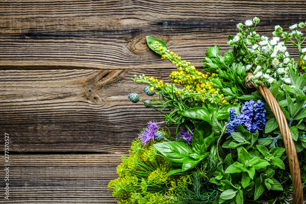 Assorted garden fresh herbs on wooden background
