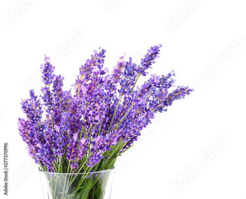 Beautiful violet lavender