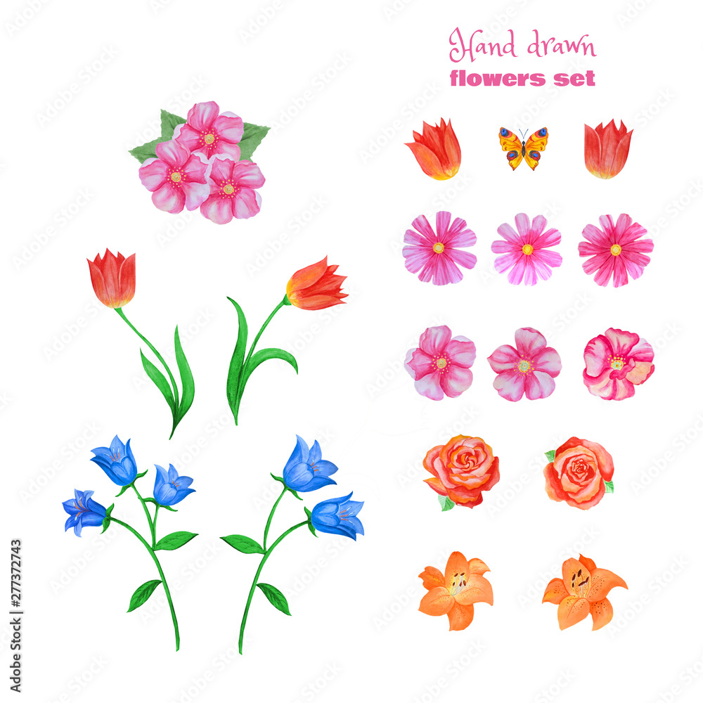 Set of different flowers isolated on white. Poppies, tulips, roses,lilies,cornflowers,blue bells and other