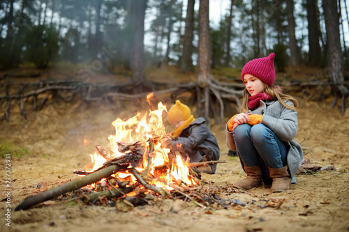 Two cute young girls sitting by a bonfire on cold autumn day. Children having fun at camp fire. Camping with kids in fall forest.