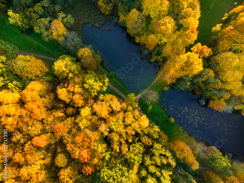 Birds eye view of autumn forest and a small lake. Aerial forest scene in autumn with orange and yellow foliage. Fall scenery in Vilnius, Lithuania. © MNStudio