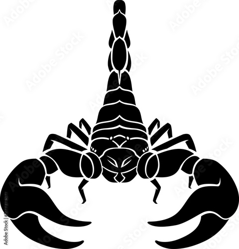 Black Scorpion Front View