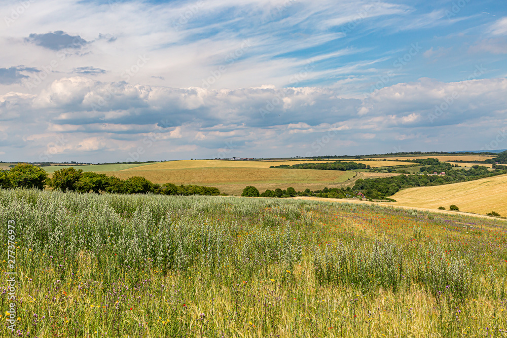 A summer farm landscape seen from along the South Downs Way in Sussex
