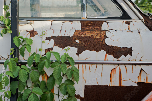 Peeling Color Rusted Metal Texture, selective focus (detailed close-up shot)