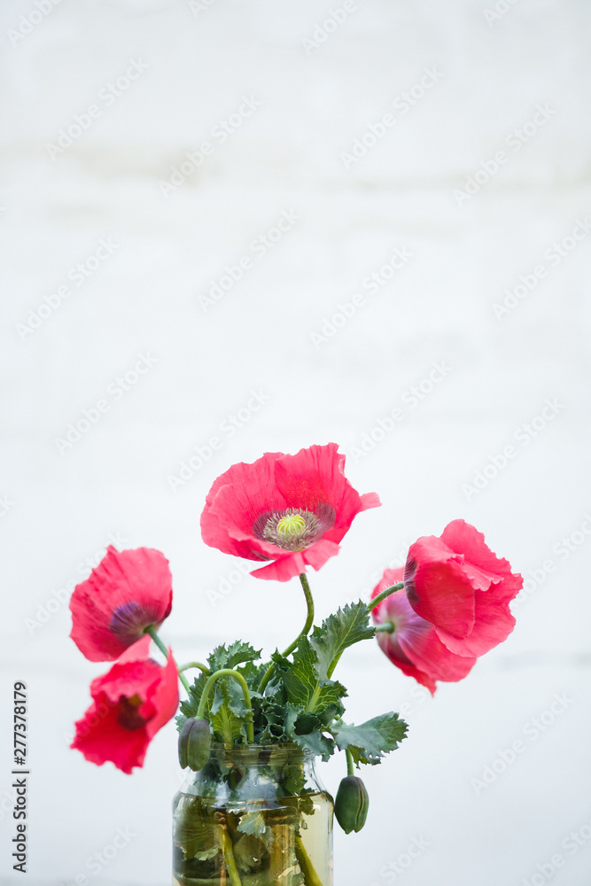 Obraz premium Pink opium poppy on a white background. Poppies and poppy heads in a vase on a white background, the concept of addiction, sadness, death, heroin, opium, straws, poppy seeds