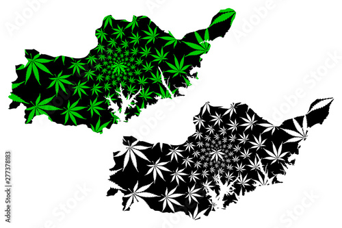 Adiyaman (Provinces of the Republic of Turkey) map is designed cannabis leaf green and black, Adiyaman ili map made of marijuana (marihuana,THC) foliage,....