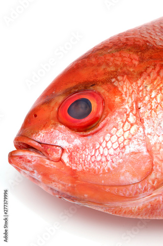 fish face