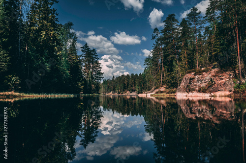 Fototapeta Naklejka Na Ścianę i Meble -  reflection of trees in lake