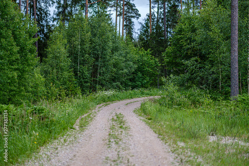 romantic gravel dirt road in countryside in summer green evening