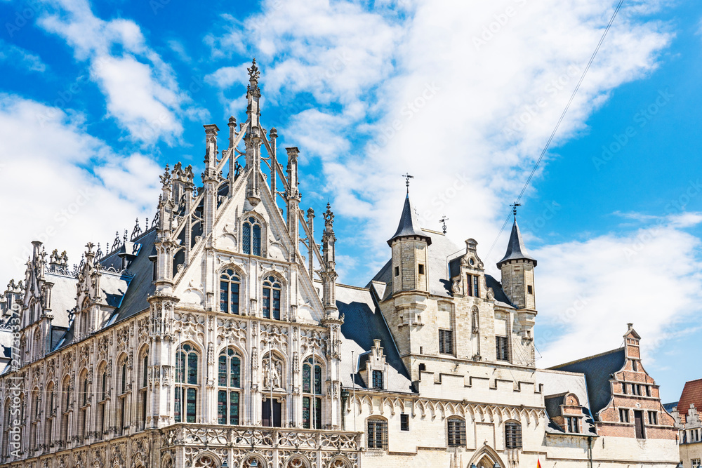 Fototapeta premium town hall of Mechelen. Belgium.