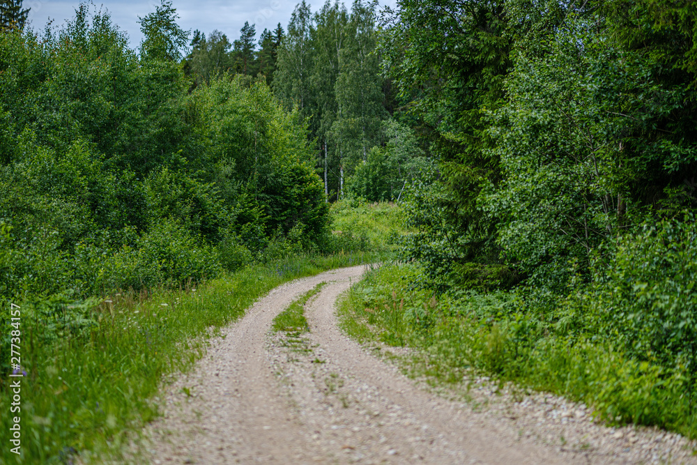 romantic gravel dirt road in countryside in summer green evening romantic gravel dirt road in countryside in summer green evening
