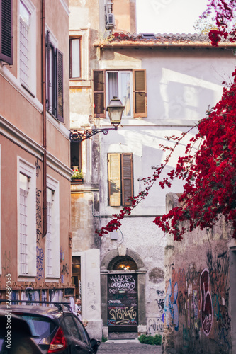Italy, Rome, street, travel, old town, building, plant, sculpture, street food, culture