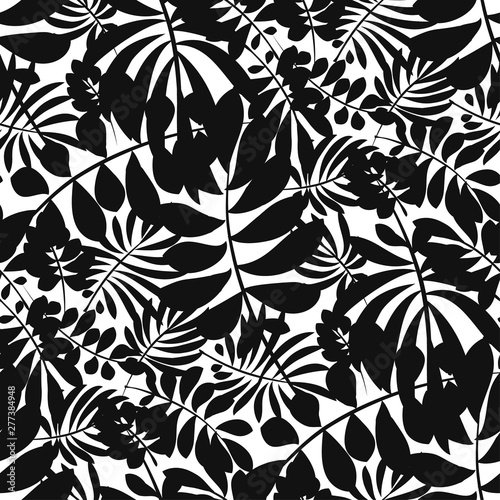 Silhouette black and white ...