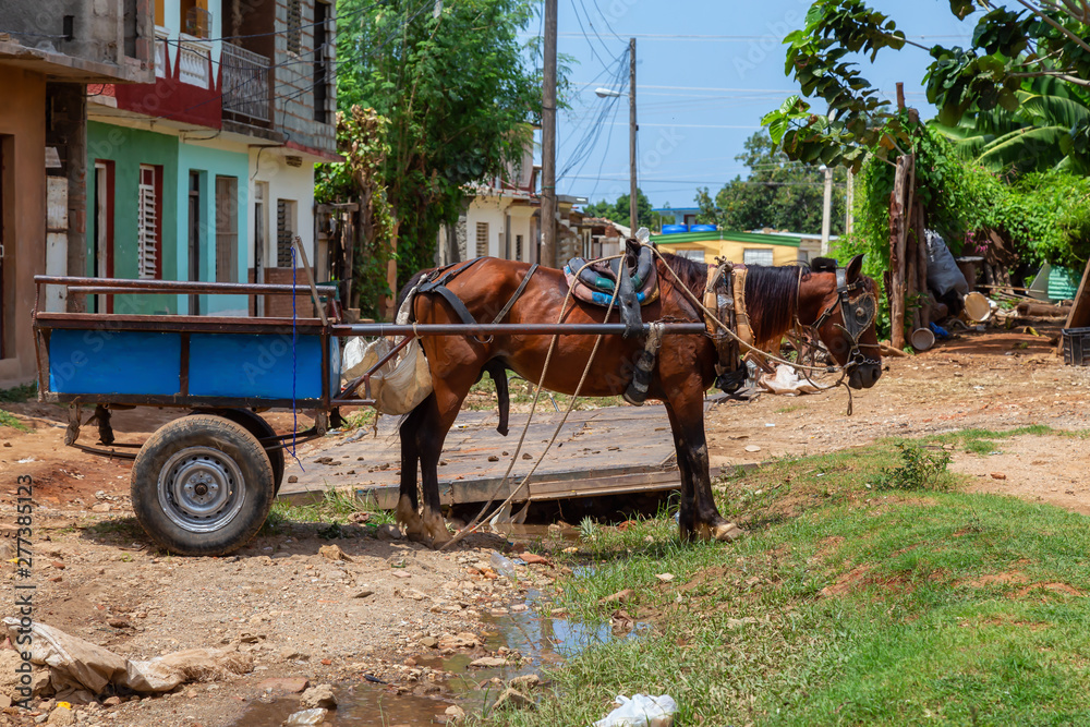 Horse Carriage in the Wet and Dirty Street of a small Cuban Town during a vibrant sunny day. Taken in Trinidad, Cuba.