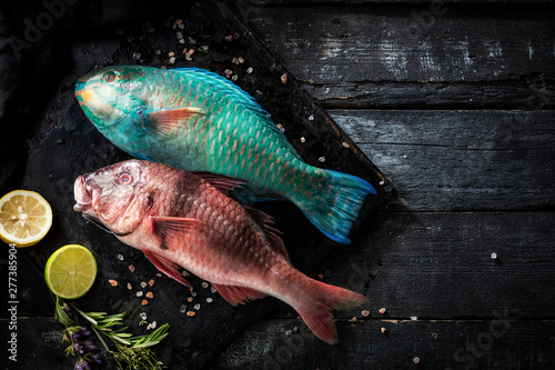 Photography Sea delicacies. Fresh seafood. Parrot fish