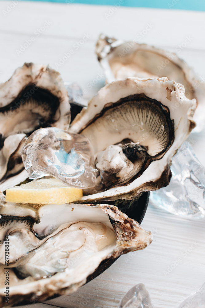 Delicious oysters with lemon, seafood delicacy Delicious oysters with lemon, seafood delicacy