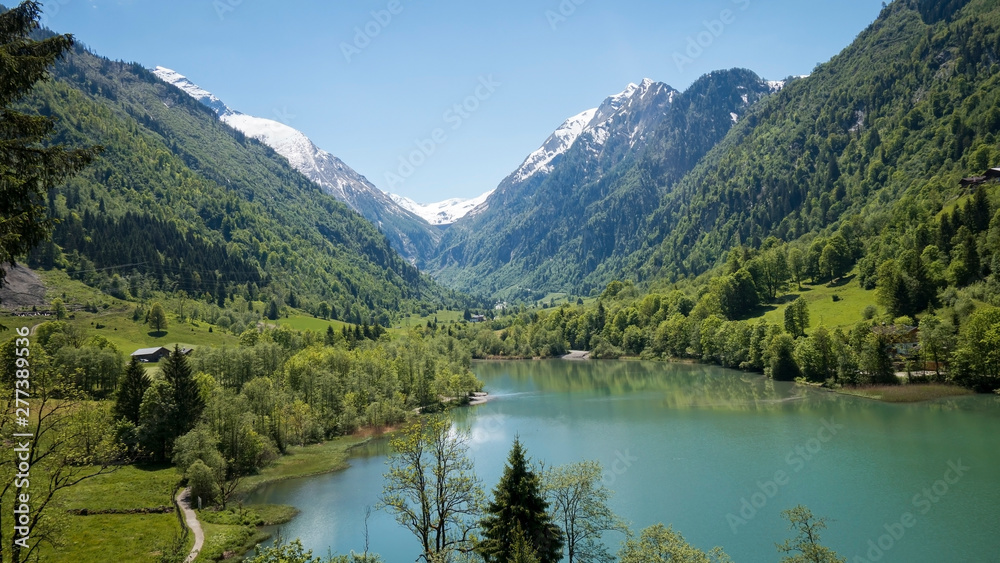 beautifully colored lake surrounded with alpine trees and high snowy mountains