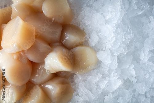 Sea delicacies. Fresh seafood. Scallops on ice. photo