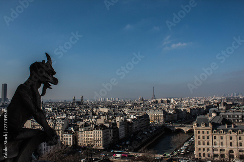 Vistas de Paris desde la catedral de Notre Dame