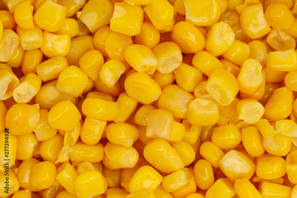 Yellow corn seeds background seamless texture close up Yellow corn seeds background seamless texture close up